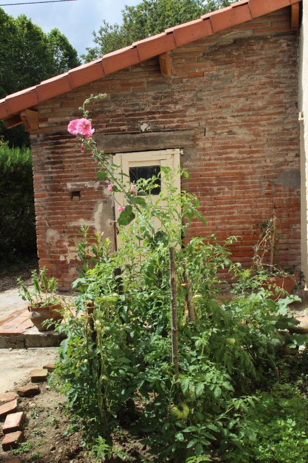 Ferme Aquinaut - Le Paradis Montesquieu-Volvestre Exteriér fotografie